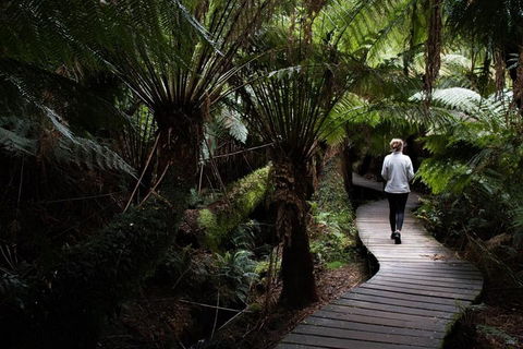 Private Tour Of Melbourne - Accommodation Daintree 2