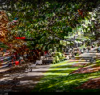Fully Inclusive Blue Mountains Private Tour inc Scenic World  Featherdale entry - Accommodation Daintree