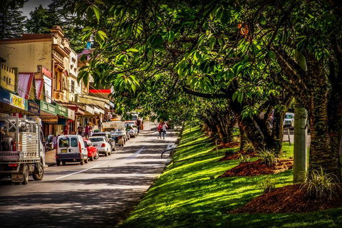 Fully Inclusive Blue Mountains Private Tour Inc Scenic World & Featherdale Entry - Accommodation Daintree 0