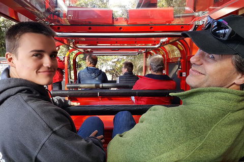 Fully Inclusive Blue Mountains Private Tour Inc Scenic World & Featherdale Entry - Accommodation Daintree 1