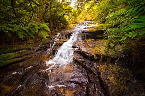 Fully Inclusive Blue Mountains Private Tour Inc Scenic World & Featherdale Entry - Accommodation Daintree 3