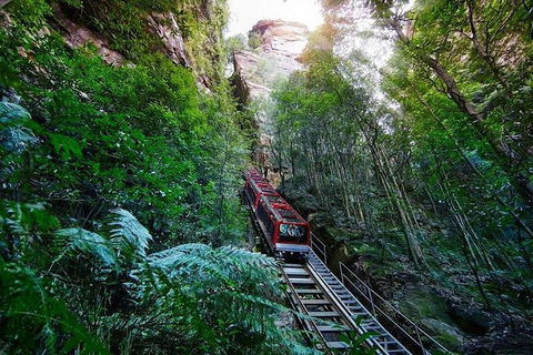 Fully Inclusive Blue Mountains Private Tour Inc Scenic World & Featherdale Entry - Accommodation Daintree 4