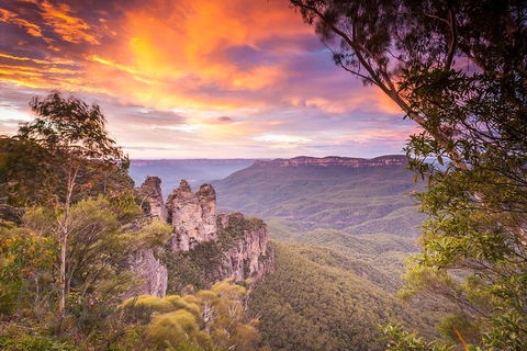 Fully Inclusive Blue Mountains Private Tour Inc Scenic World & Featherdale Entry - Accommodation Daintree 5