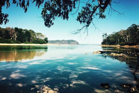 Full-Day Guided Bruny Island Tour From Hobart - Accommodation Daintree 1