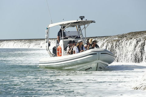 Cygnet Bay Explorer - Accommodation Daintree 2