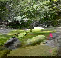 Daintree Dreaming Traditional Aboriginal Fishing from Cairns or Port Douglas - Accommodation Daintree
