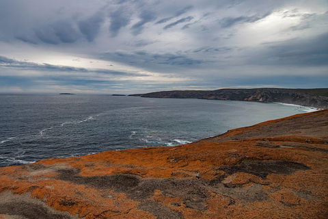 Kangaroo Island Luxury Small Group 'Flinders Chase Focus' Full Day Tour - Accommodation Daintree 0