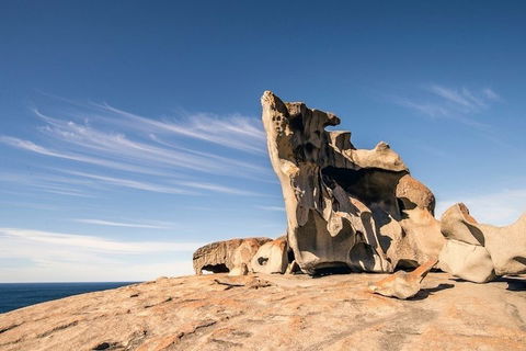 Kangaroo Island Luxury Small Group 'Flinders Chase Focus' Full Day Tour - Accommodation Daintree 1