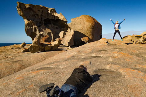 Kangaroo Island Luxury Small Group 'Flinders Chase Focus' Full Day Tour - Accommodation Daintree 4