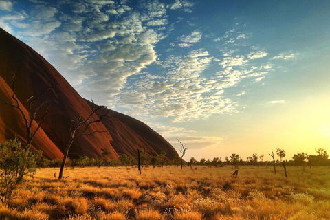 Highlights Of Uluru Including Sunrise And Breakfast - Accommodation Daintree 0