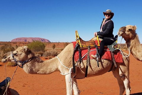 Uluru Small-Group Tour By Camel At Sunrise Or Sunset - Accommodation Daintree 0