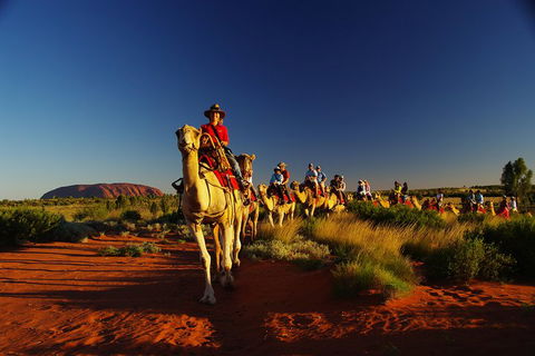 Uluru Small-Group Tour By Camel At Sunrise Or Sunset - Accommodation Daintree 1