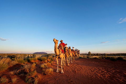 Uluru Small-Group Tour By Camel At Sunrise Or Sunset - Accommodation Daintree 3