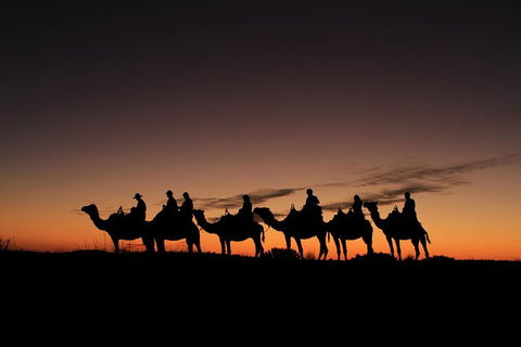 Uluru Small-Group Tour By Camel At Sunrise Or Sunset - Accommodation Daintree 4