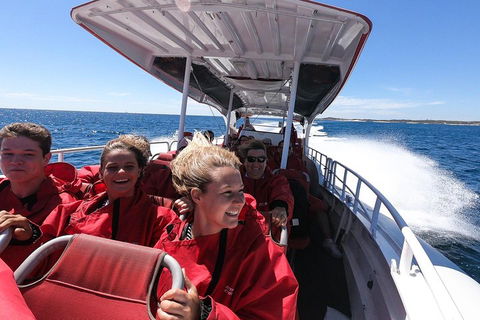 Adventure Rottnest Tour With Ferry & Adventure Cruise From Perth Or Fremantle - Accommodation Daintree 0