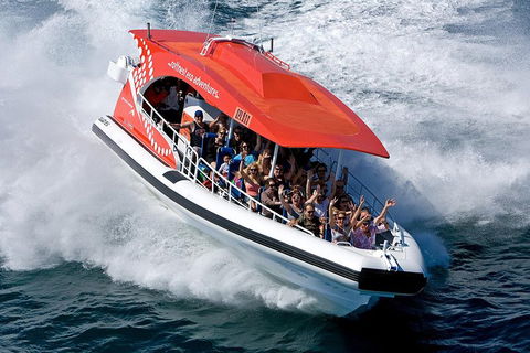 Adventure Rottnest Tour With Ferry & Adventure Cruise From Perth Or Fremantle - Accommodation Daintree 2