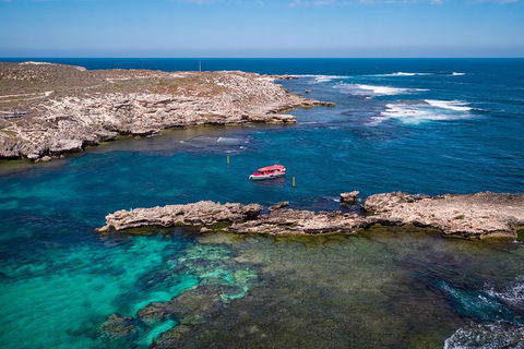 Adventure Rottnest Tour With Ferry & Adventure Cruise From Perth Or Fremantle - Accommodation Daintree 3