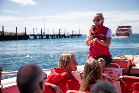 Adventure Rottnest Tour With Ferry & Adventure Cruise From Perth Or Fremantle - Accommodation Daintree 4