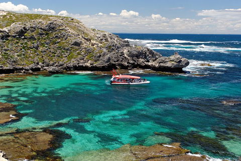 Adventure Rottnest Tour With Ferry & Adventure Cruise From Perth Or Fremantle - Accommodation Daintree 5