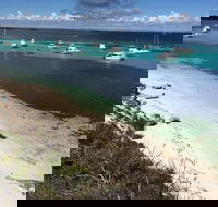 Experience Rottnest with Ferry  Bike Hire from Perth or Fremantle - Accommodation Daintree