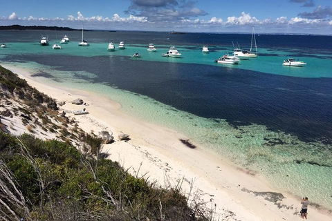 Experience Rottnest With Ferry & Bike Hire From Perth Or Fremantle - Accommodation Daintree 0