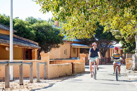 Experience Rottnest With Ferry & Bike Hire From Perth Or Fremantle - Accommodation Daintree 1