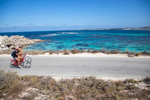 Experience Rottnest With Ferry & Bike Hire From Perth Or Fremantle - Accommodation Daintree 2