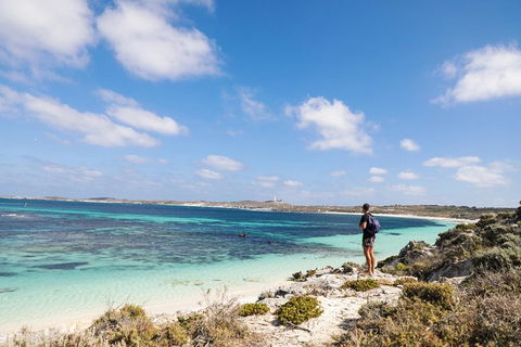 Experience Rottnest With Ferry & Bike Hire From Perth Or Fremantle - Accommodation Daintree 3