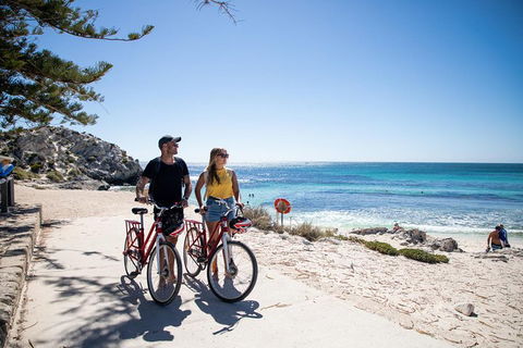 Experience Rottnest With Ferry & Bike Hire From Perth Or Fremantle - Accommodation Daintree 4