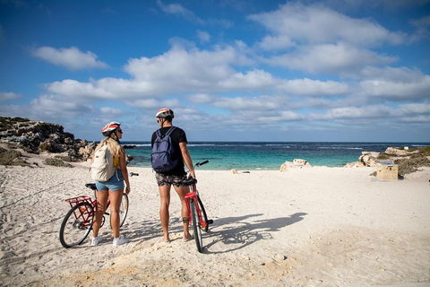 Experience Rottnest With Ferry & Bike Hire From Perth Or Fremantle - Accommodation Daintree 5