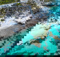 Rottnest Island Round-Trip Ferry from Perth or Fremantle - Accommodation Daintree