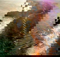 Full-Day Great Ocean Road and 12 Apostles Sunset Tour from Melbourne - Accommodation Daintree