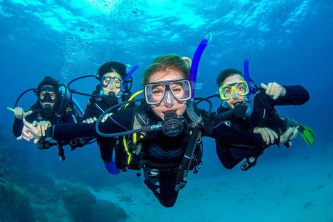 Great Barrier Reef Diving And Snorkeling Cruise From Cairns - Accommodation Daintree 0