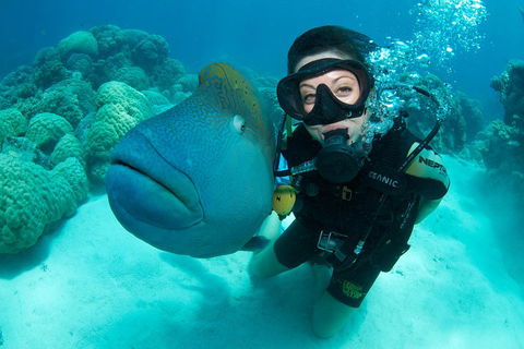 Great Barrier Reef Diving And Snorkeling Cruise From Cairns - Accommodation Daintree 2