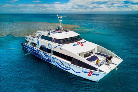 Great Barrier Reef Diving And Snorkeling Cruise From Cairns - Accommodation Daintree 5