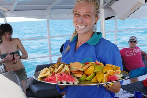 Ocean Free Green Island & Great Barrier Reef Snorkel Cruise, Cairns 25 Guests - Accommodation Daintree 1