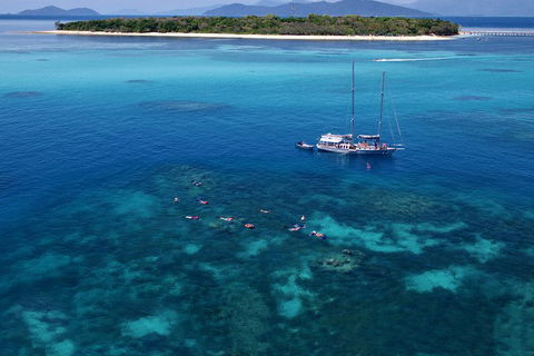 Ocean Free Green Island & Great Barrier Reef Snorkel Cruise, Cairns 25 Guests - Accommodation Daintree 2