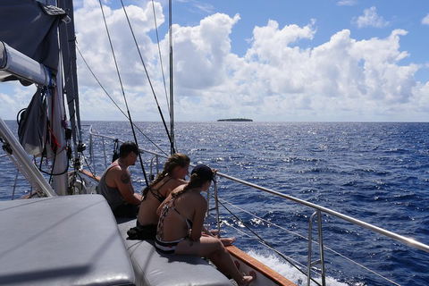 Ocean Free Green Island & Great Barrier Reef Snorkel Cruise, Cairns 25 Guests - Accommodation Daintree 4