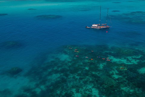 Ocean Free Green Island & Great Barrier Reef Snorkel Cruise, Cairns 25 Guests - Accommodation Daintree 5