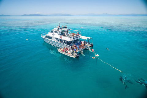 Ocean Freedom Great Barrier Reef Personal Luxury Snorkel & Dive Cruise, Cairns - Accommodation Daintree 0