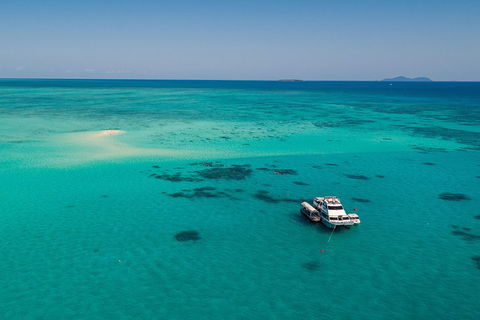 Ocean Freedom Great Barrier Reef Personal Luxury Snorkel & Dive Cruise, Cairns - Accommodation Daintree 2