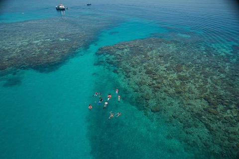 Ocean Freedom Great Barrier Reef Personal Luxury Snorkel & Dive Cruise, Cairns - Accommodation Daintree 3