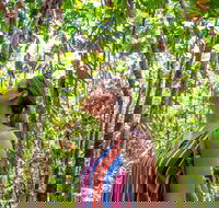 5 Day Australia Retreat Queensland Daintree - Accommodation Daintree