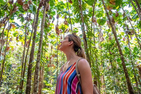 5 Day Australia Retreat: Queensland Daintree - Accommodation Daintree 0