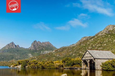 6 Day Trek The Cradle Mountain Overland Track - Accommodation Daintree 1