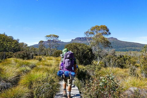 6 Day Trek The Cradle Mountain Overland Track - Accommodation Daintree 4