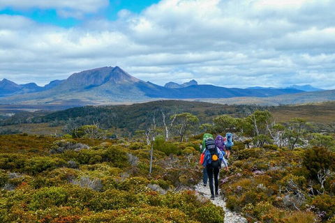 6 Day Trek The Cradle Mountain Overland Track - Accommodation Daintree 5