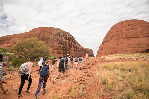6 Day Red Centre Explorer With Accommodation - Accommodation Daintree 3