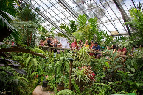 Australian Butterfly Sanctuary - Accommodation Daintree 0