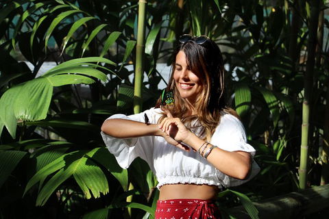 Australian Butterfly Sanctuary - Accommodation Daintree 1
